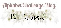 Top 3 Winner alphabet chall blog